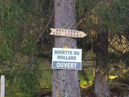 Buvette des Mollards
